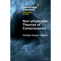 Non-physicalist Theories of Consciousness