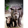 Animals, Fish and Birds, Oh My! Life In The Borneo Jungle - Curious Kids Press: Kids book about animals and wildlife, Children's books 4-6