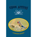 Upon Arrival: Commencement