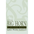 Little Big Horn: A Second Battle