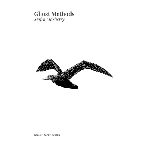 Ghost Methods