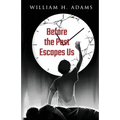 Before the Past Escapes Us
