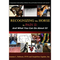 Recognizing the Horse in Pain II: And What You Can Do About It!