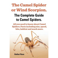 The Camel Spider or Wind Scorpion. the Complete Guide to Camel Spiders. All You Need to Know about Camel Spiders. Facts Including Size, Speed, Bite an