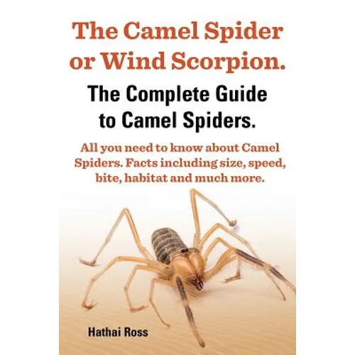 The Camel Spider or Wind Scorpion. the Complete Guide to Camel Spiders. All You Need to Know about Camel Spiders. Facts Including Size, Speed, Bite an