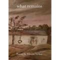 What Remains