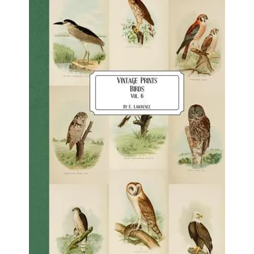 Vintage Prints: Birds: Vol. 6