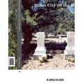 Aurora, Nevada's Silent City on the Hill