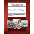Three weeks at Gettysburg.