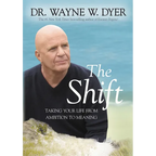 The Shift: Taking Your Life from Ambition to Meaning
