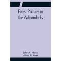 Forest Pictures in the Adirondacks
