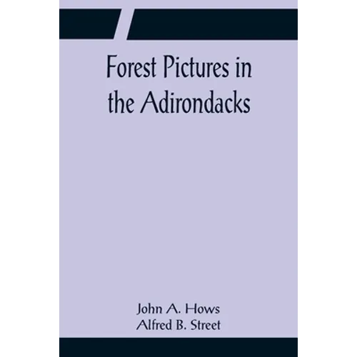 Forest Pictures in the Adirondacks