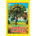 Passion Flower