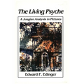 Living Psyche: A Jungian Analysis in Pictures Psychotherapy