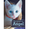 The Adventures of Angel: A Kitten's Story