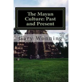 The Mayan Culture: Past and Present
