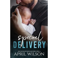 Special Delivery: A McIntyre Security Bodyguard Novel - Book 14