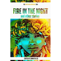 Fire In The Night and Other Stories: The 2014 Writivism Anthology