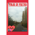 Pulse of Poetry: Volume 1: Every Story Has A Beginning