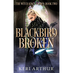 Blackbird Broken - Hardcover