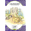LILWIOFE' Diaries 2022