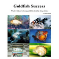 Goldfish Success: What it takes to keep goldfish healthy long-term