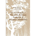 It's A Lifestyle...The Link Between Tyramine & Migraine Headaches
